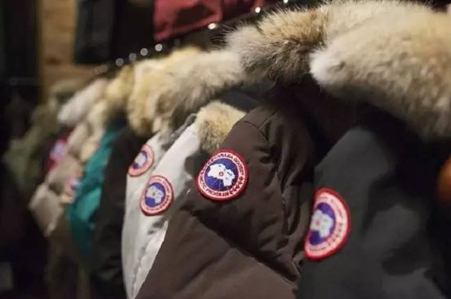 Why Canada Goose Remains the Go-To Choice for Luxury Winter Wear