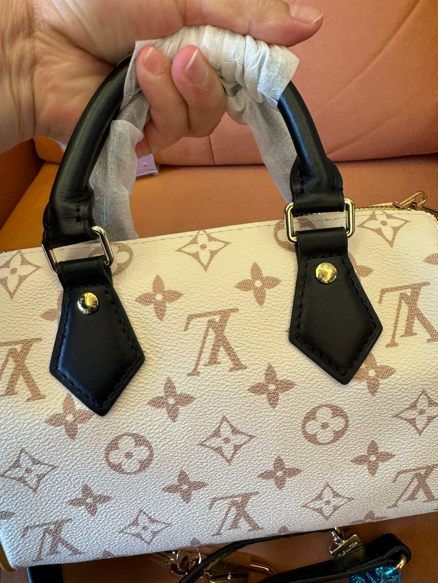 Louis vuitton speedy 20 handbag