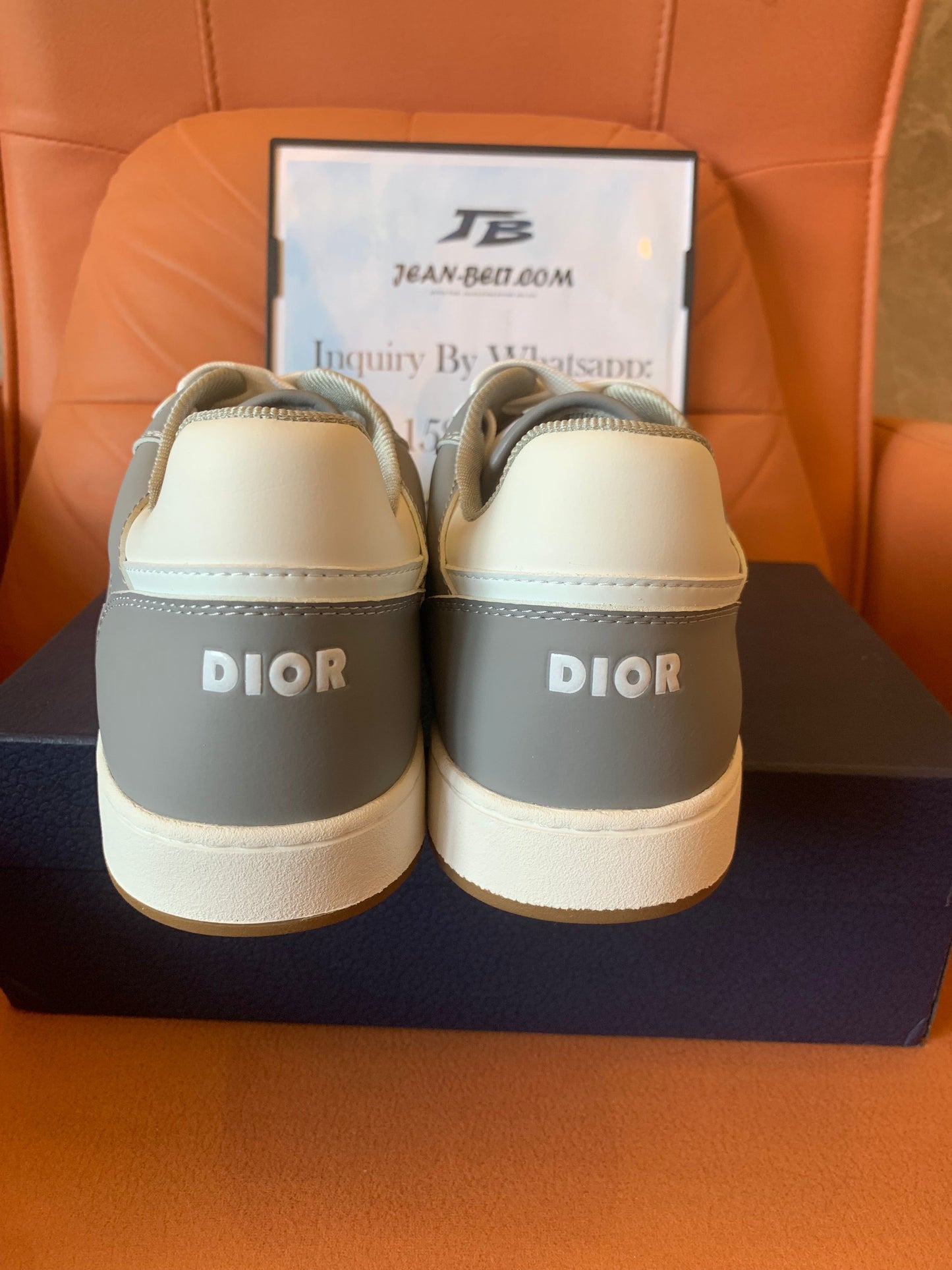 Dior B27 low white gray