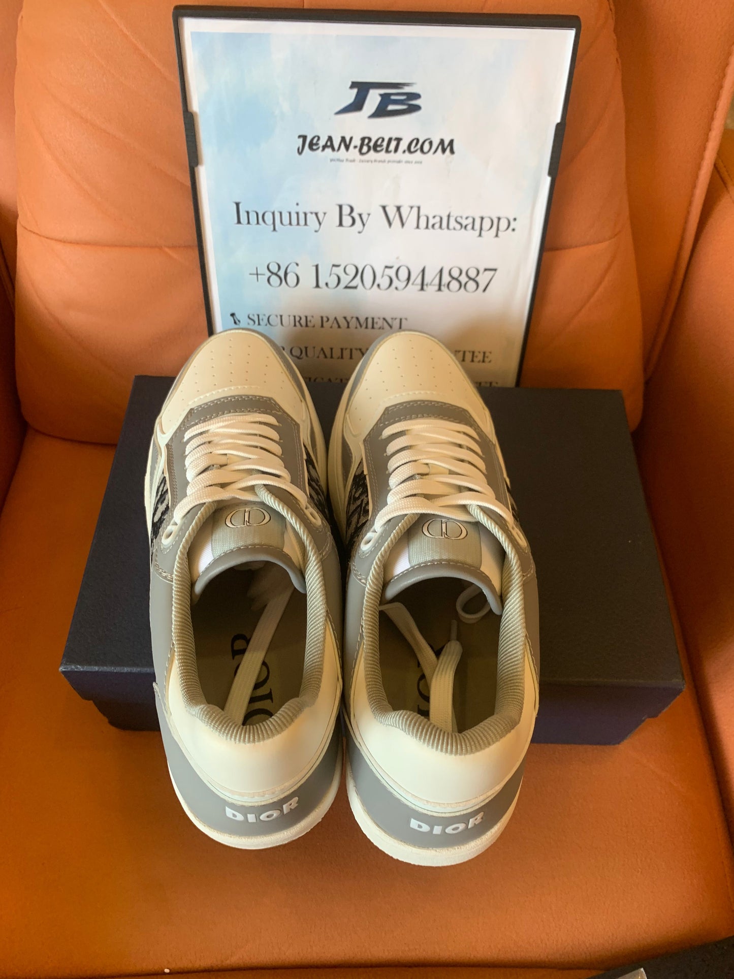 Dior B27 low white gray