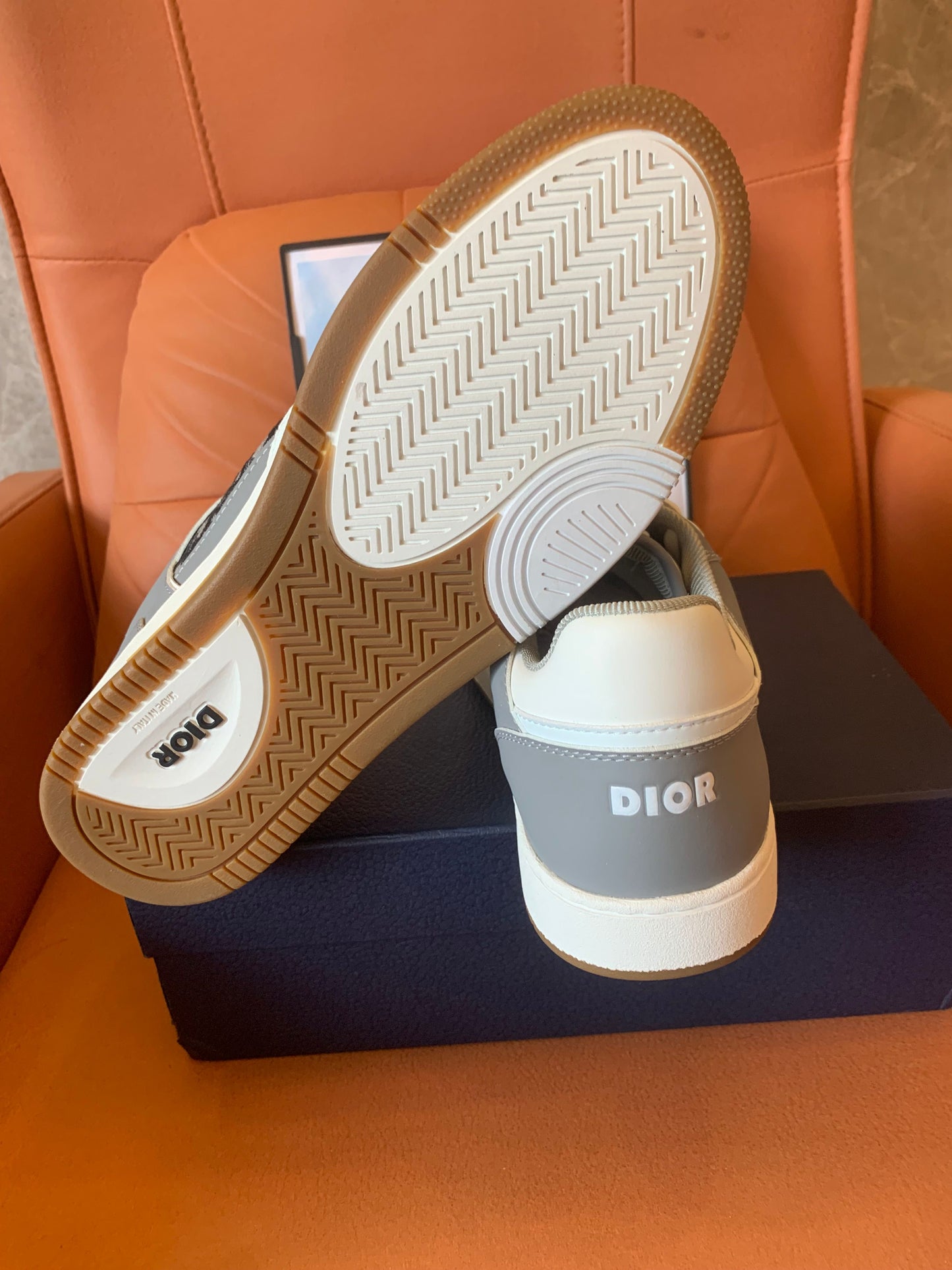 Dior B27 low white gray