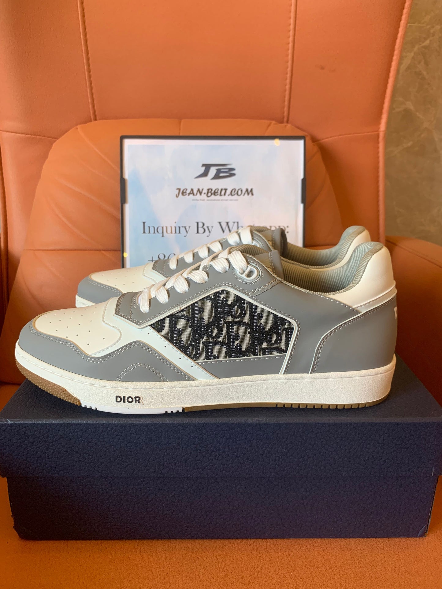 Dior B27 low white gray