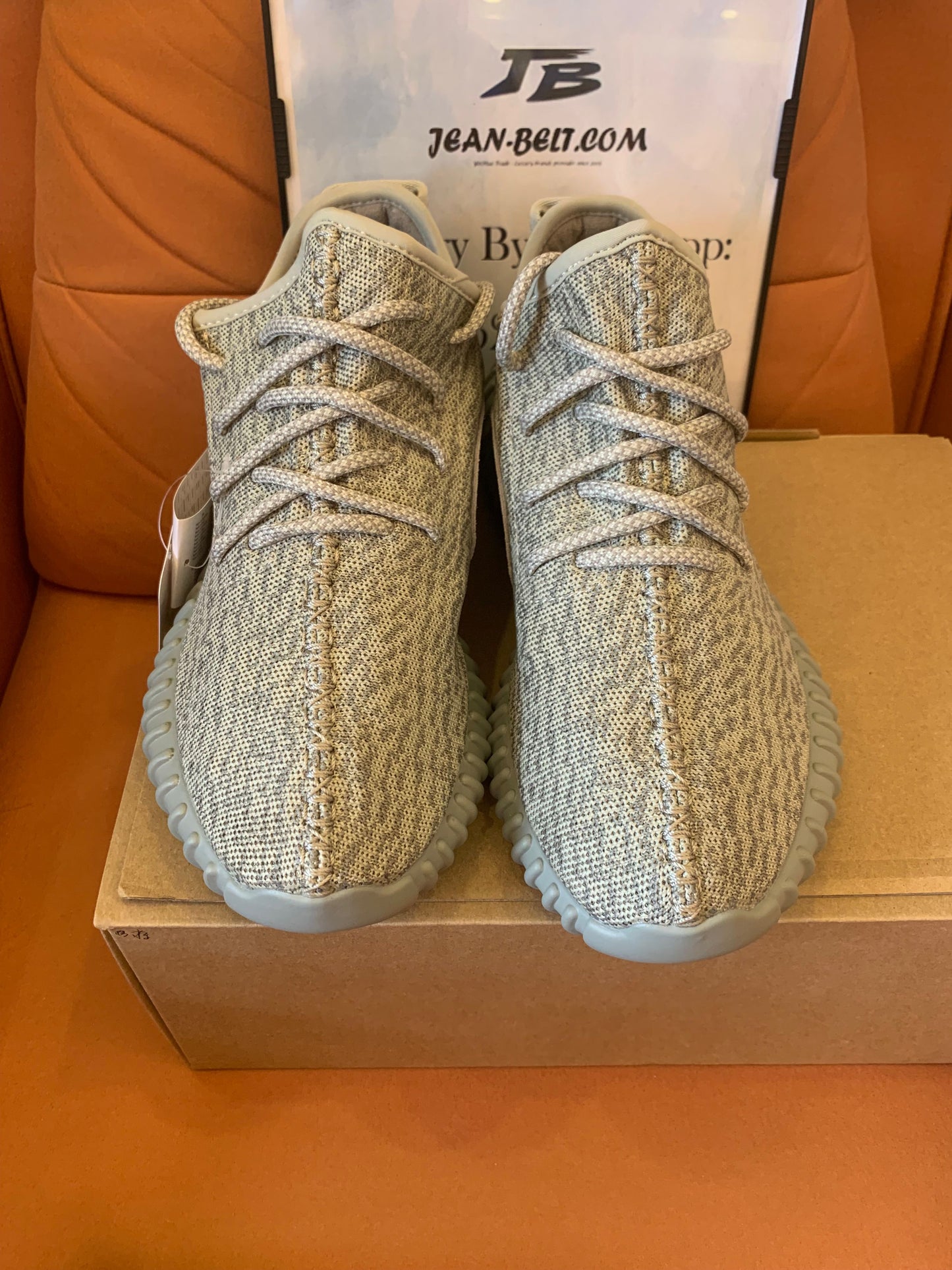 Adidas Yeezy Boost 350 "Turtle Dove"