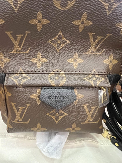 Louis Vuitton classic monogram palm springs mini backpack