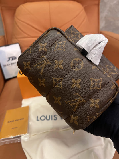 Louis Vuitton classic monogram palm springs mini backpack