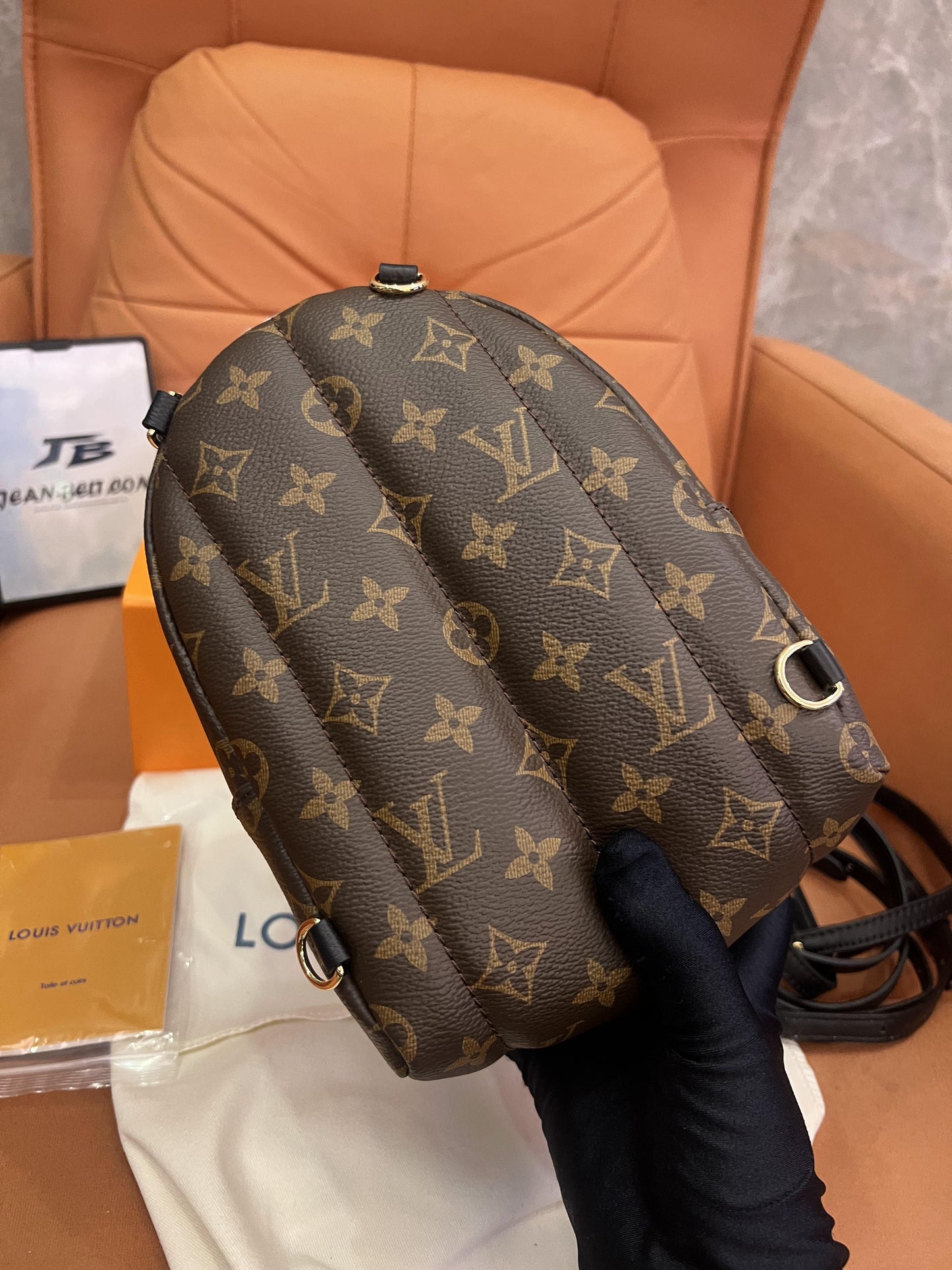 Louis Vuitton classic monogram palm springs mini backpack