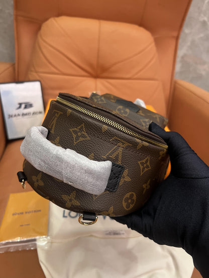 Louis Vuitton classic monogram palm springs mini backpack