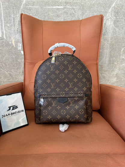 Louis Vuitton backpack for women