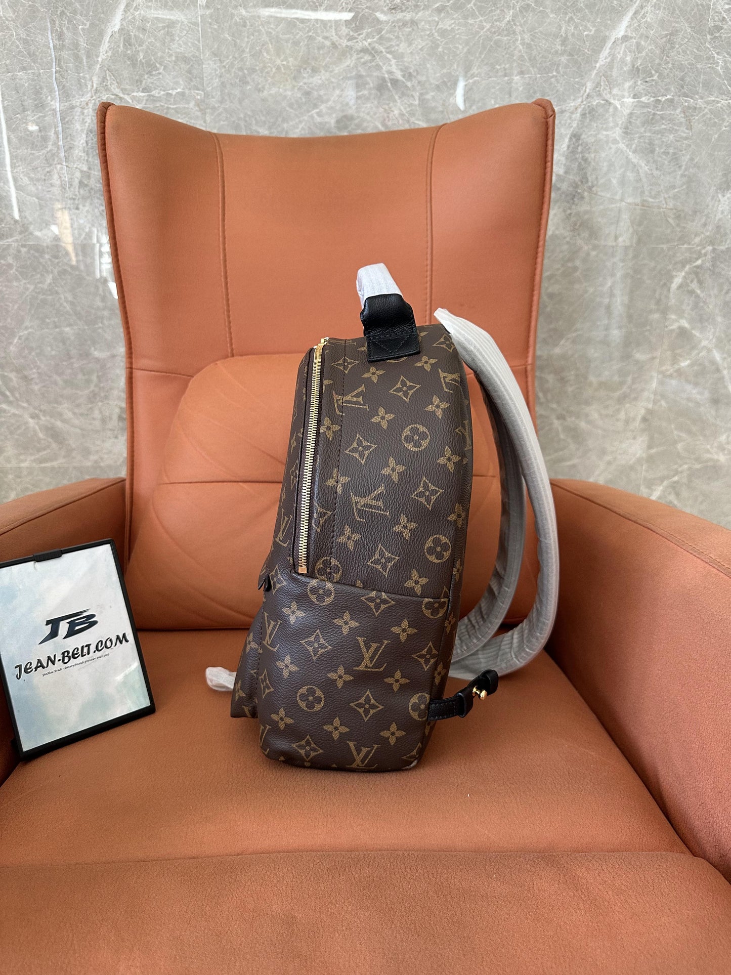 Louis Vuitton backpack for women