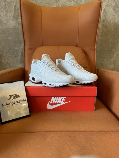 Nike Air Max Plus white cool grey sneakers