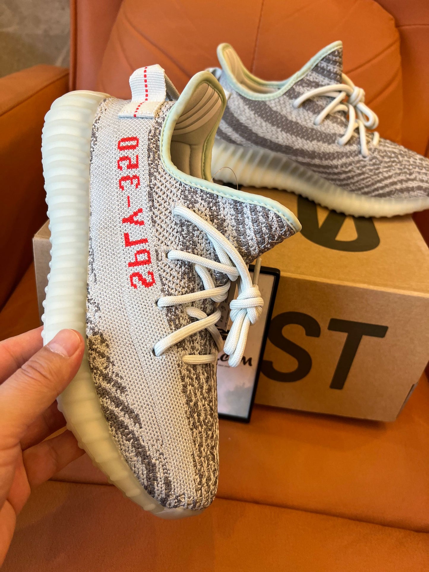 adidas Yeezy Boost 350 V2 Low