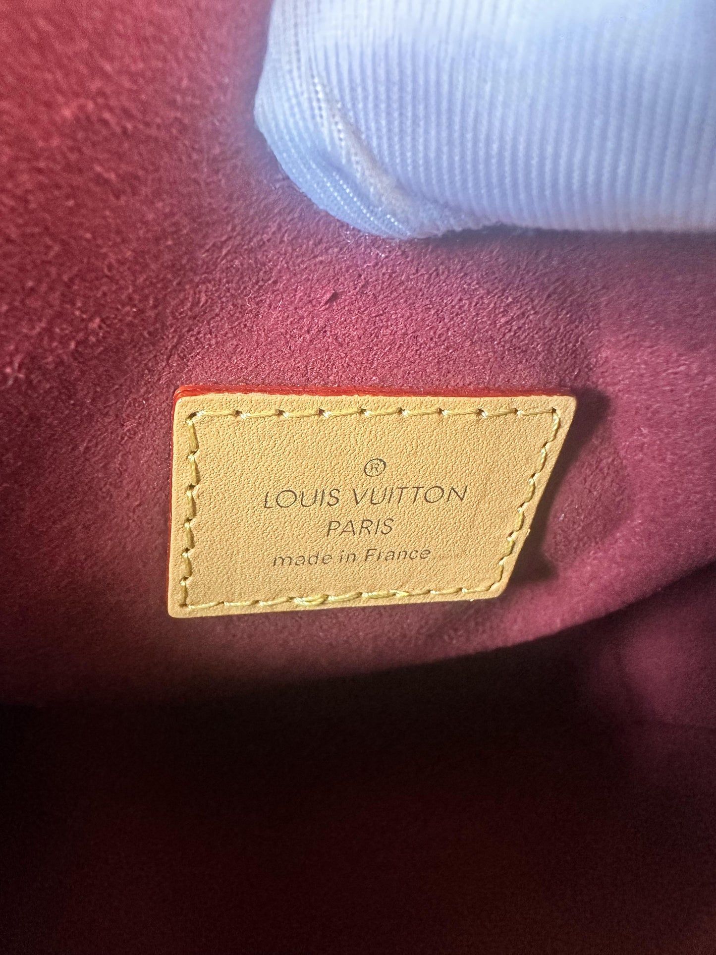 Louis Vuitton  multicolor side trunk bag