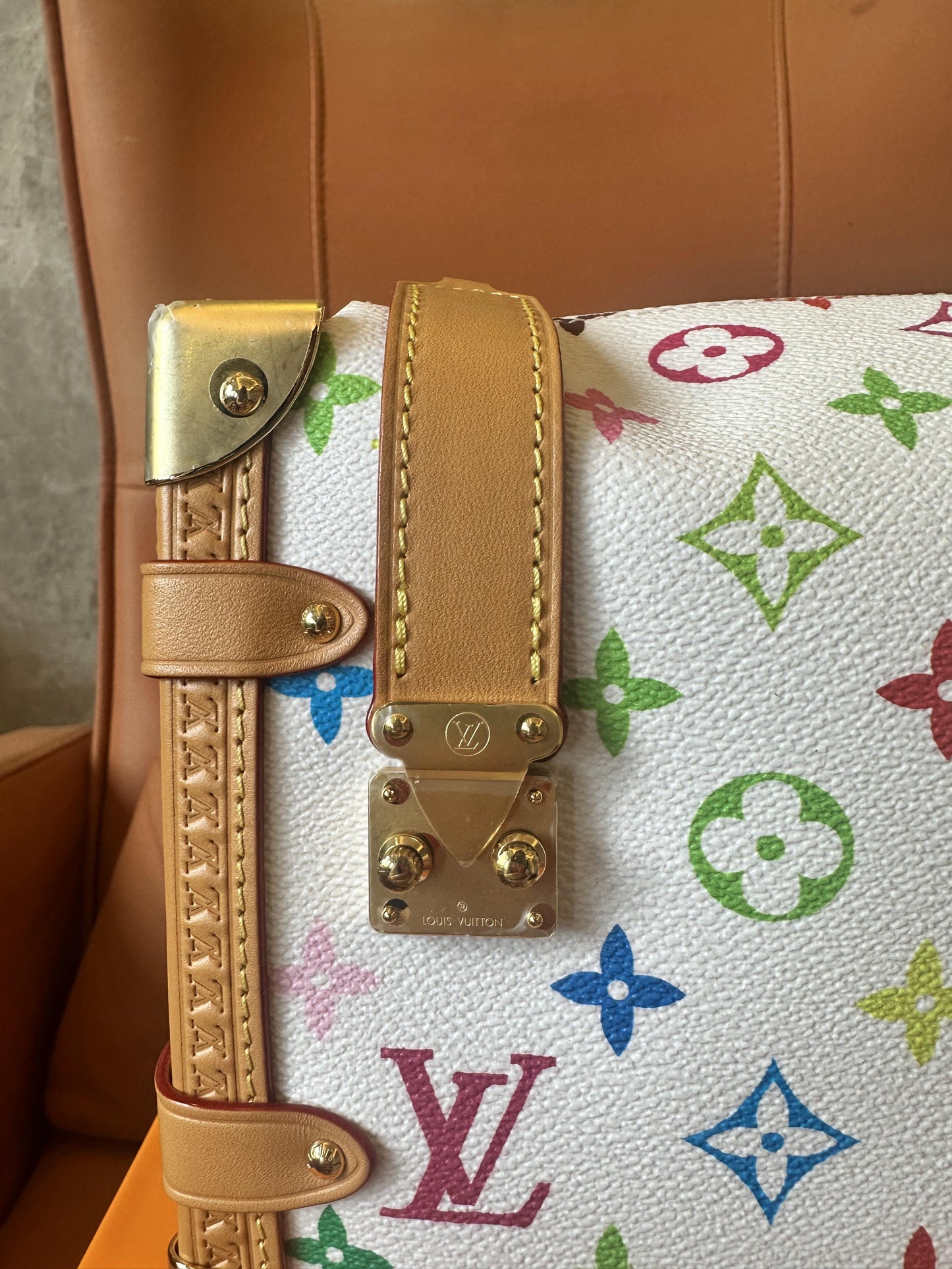 Louis Vuitton  multicolor side trunk bag