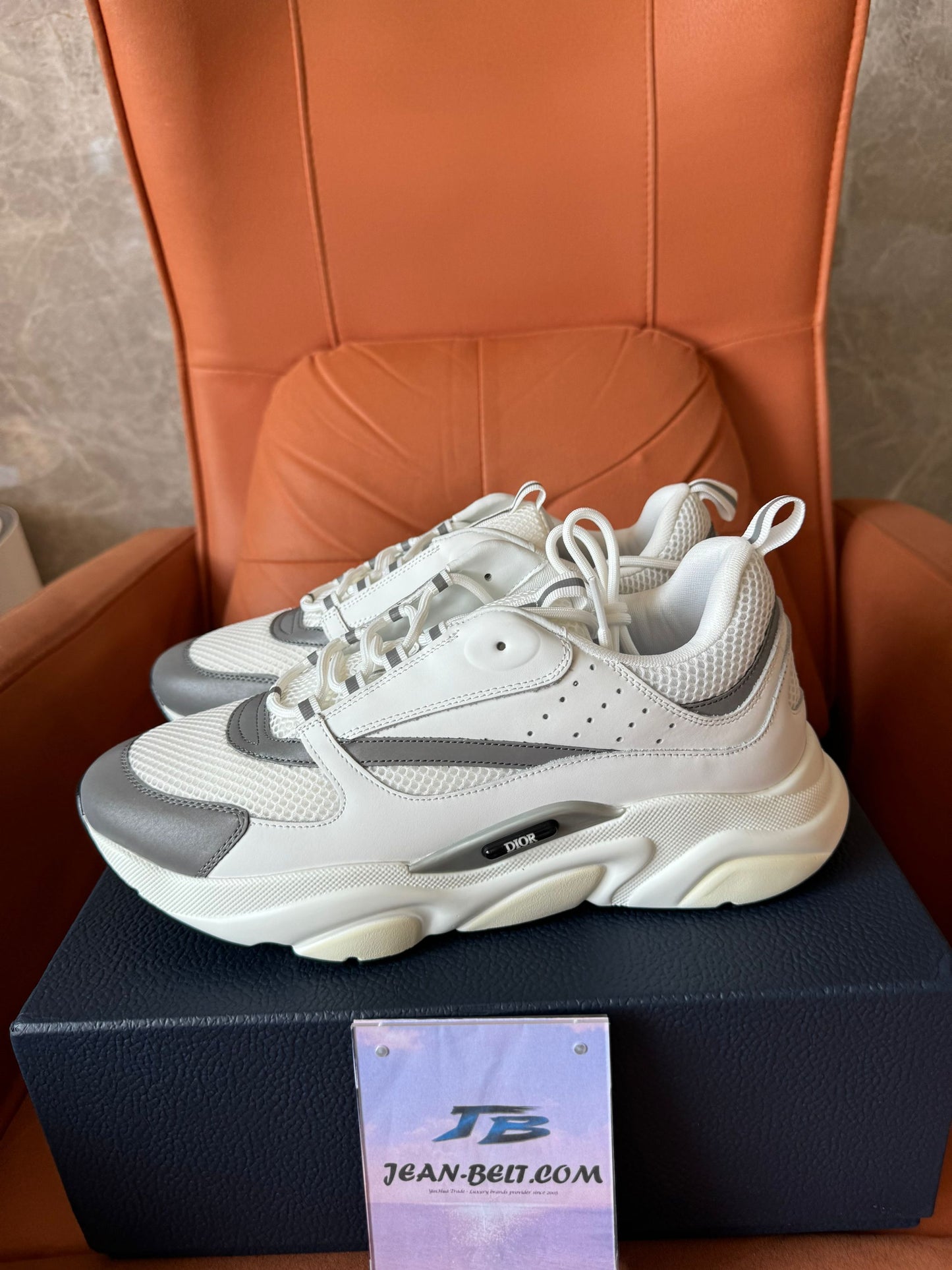 Dior B22 mesh and leather sneakers – white/grey