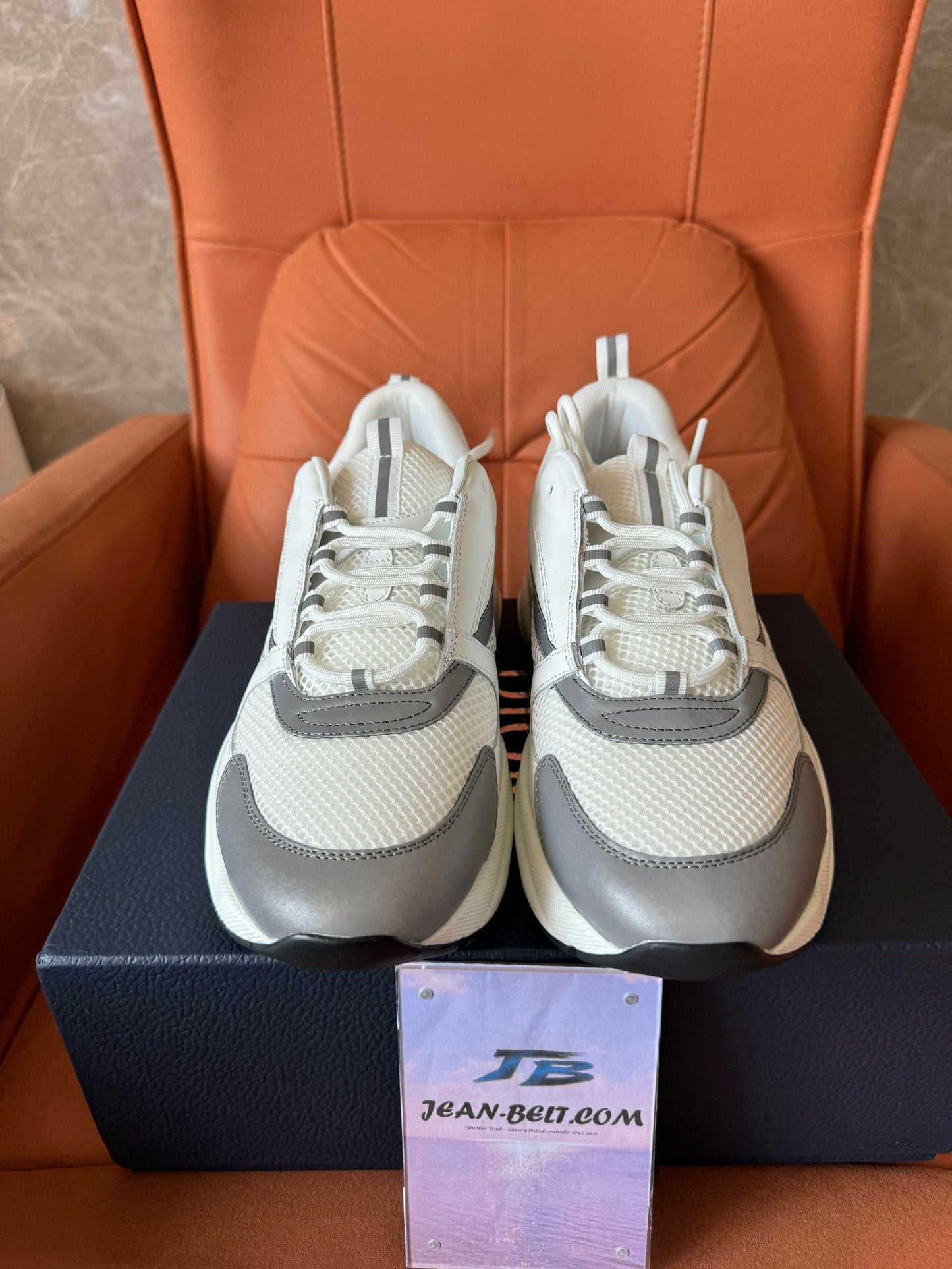 Dior B22 mesh and leather sneakers – white/grey