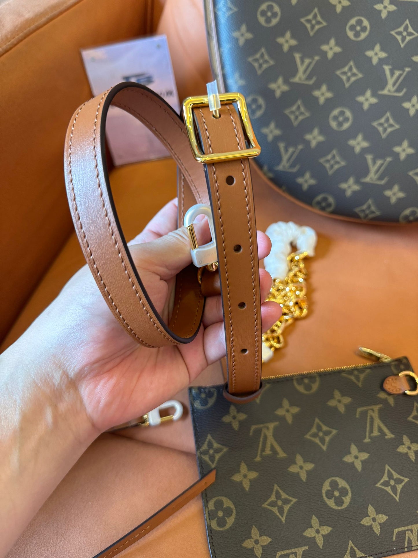 Louis Vuitton loop hobo bag