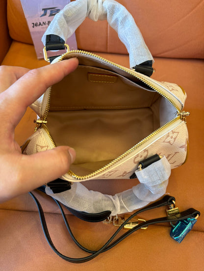 Louis vuitton speedy 20 handbag