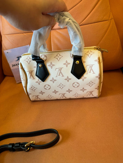 Louis vuitton speedy 20 handbag