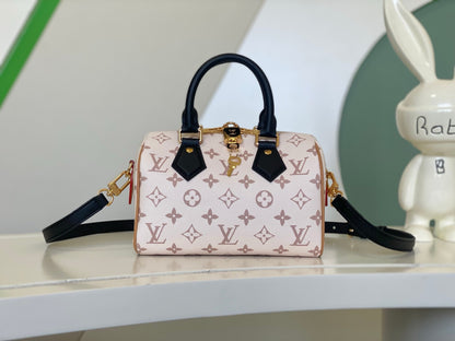 Louis vuitton speedy 20 handbag