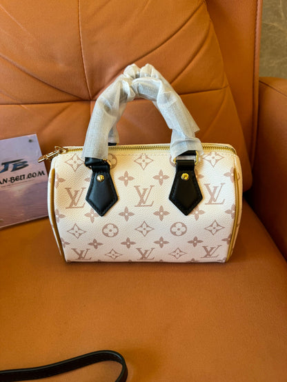 Louis vuitton speedy 20 handbag