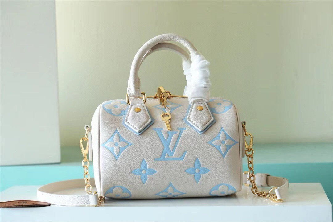 Louis vuitton speedy 20 handbag