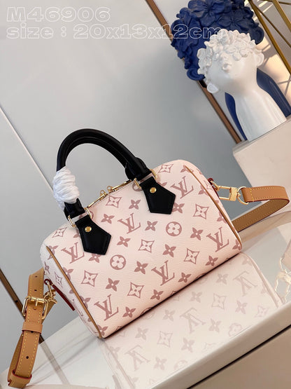 Louis vuitton speedy 20 handbag