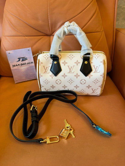 Louis vuitton speedy 20 handbag