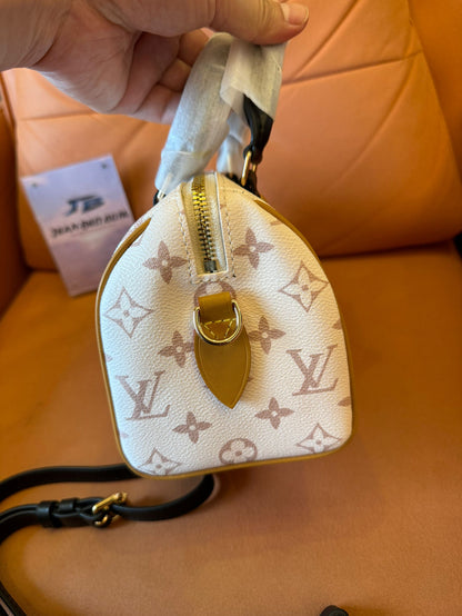 Louis vuitton speedy 20 handbag