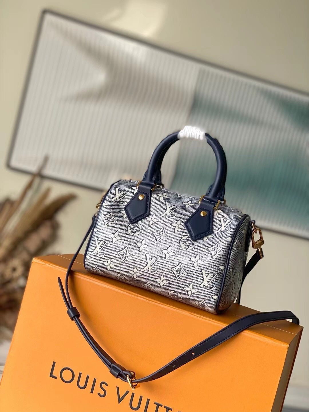 Louis vuitton speedy 20 handbag