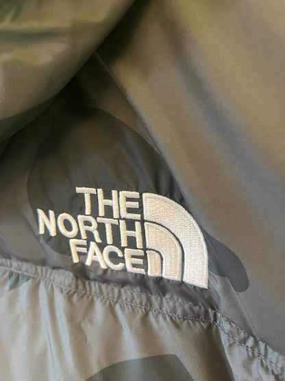 KAWS x The North Face etro 1994 himalayan parka