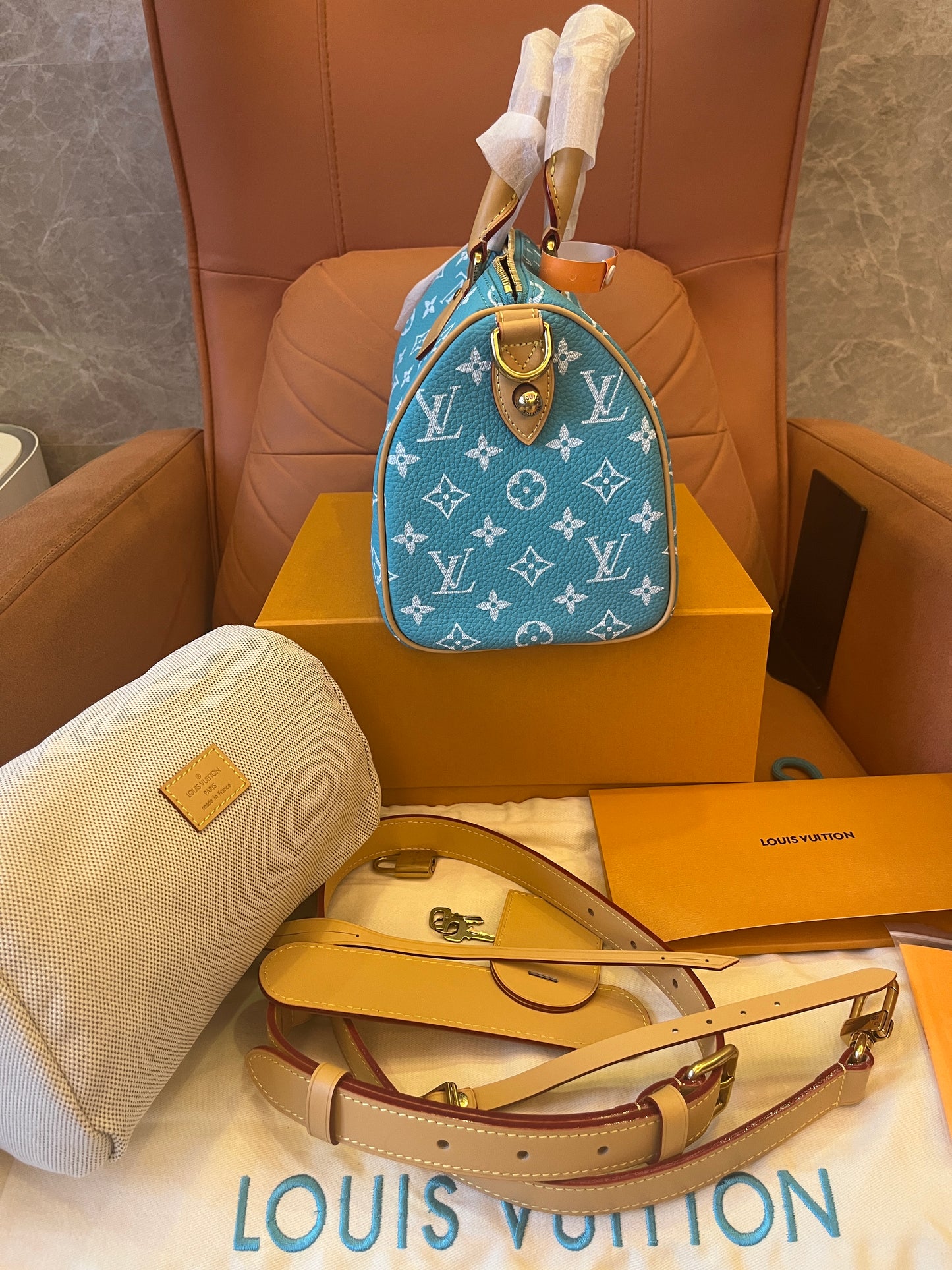 Louis Vuitton speedy p9 bandoulière 25 bag