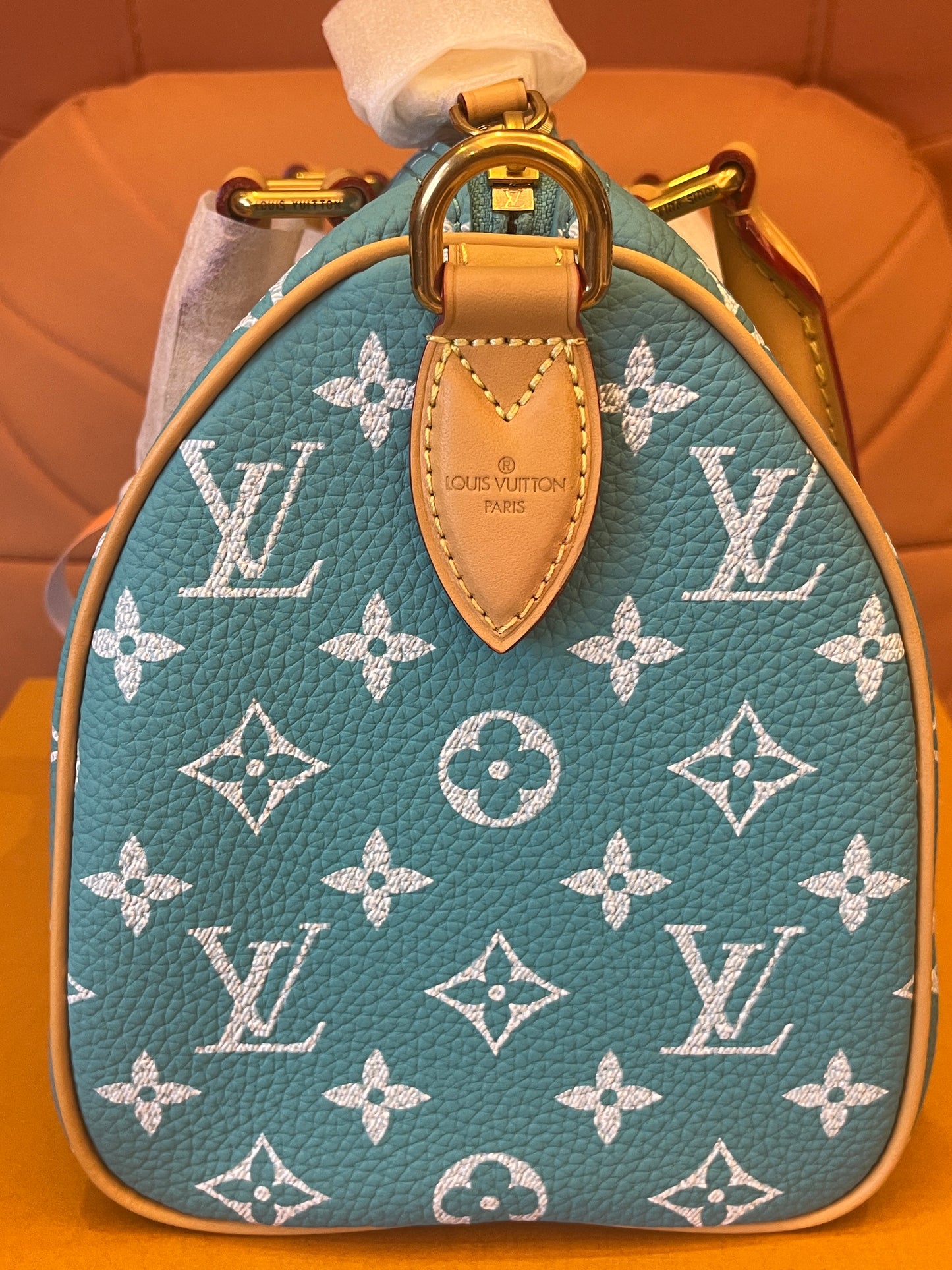 Louis Vuitton speedy p9 bandoulière 25 bag