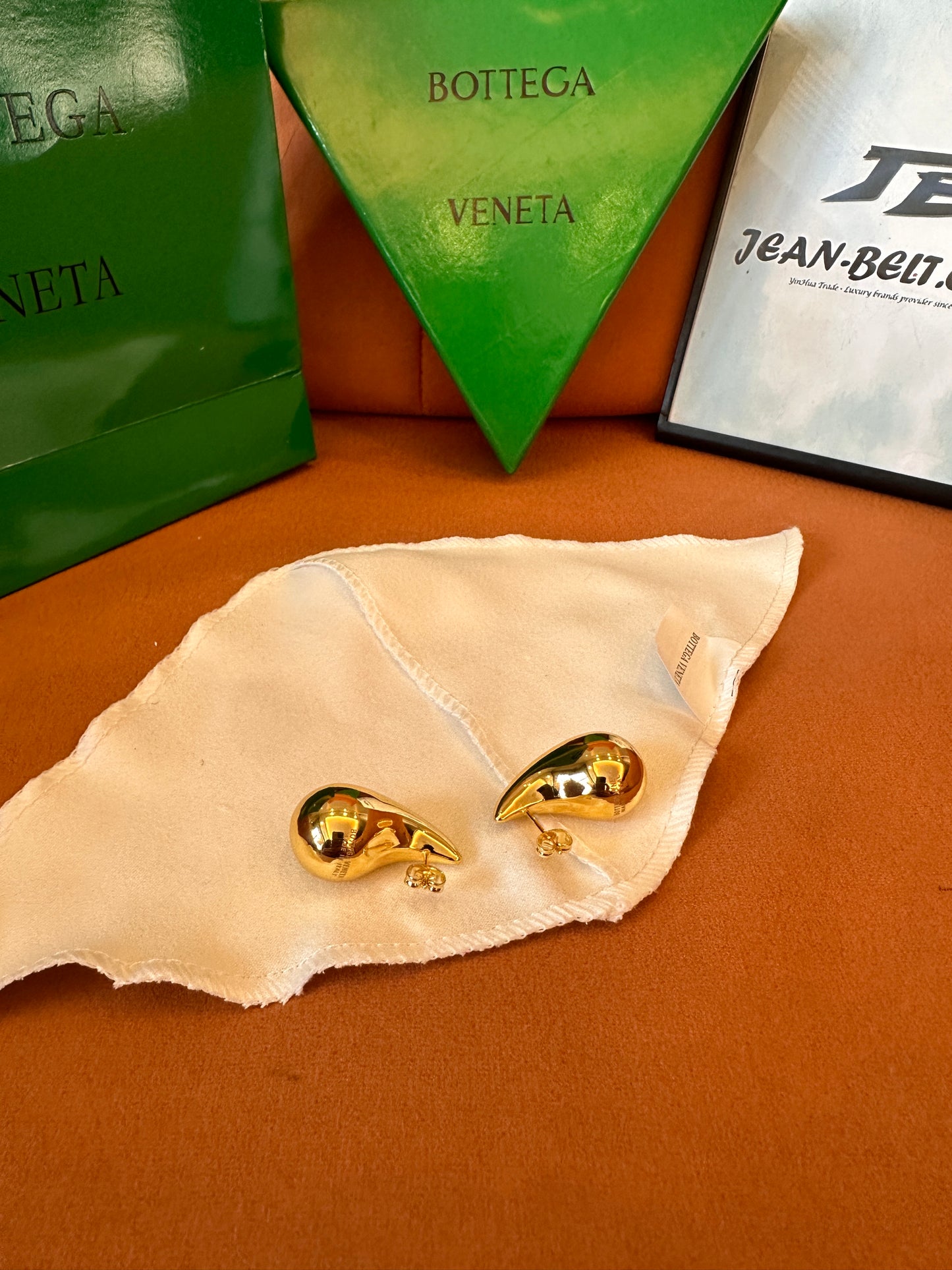 Bottega Veneta earrings