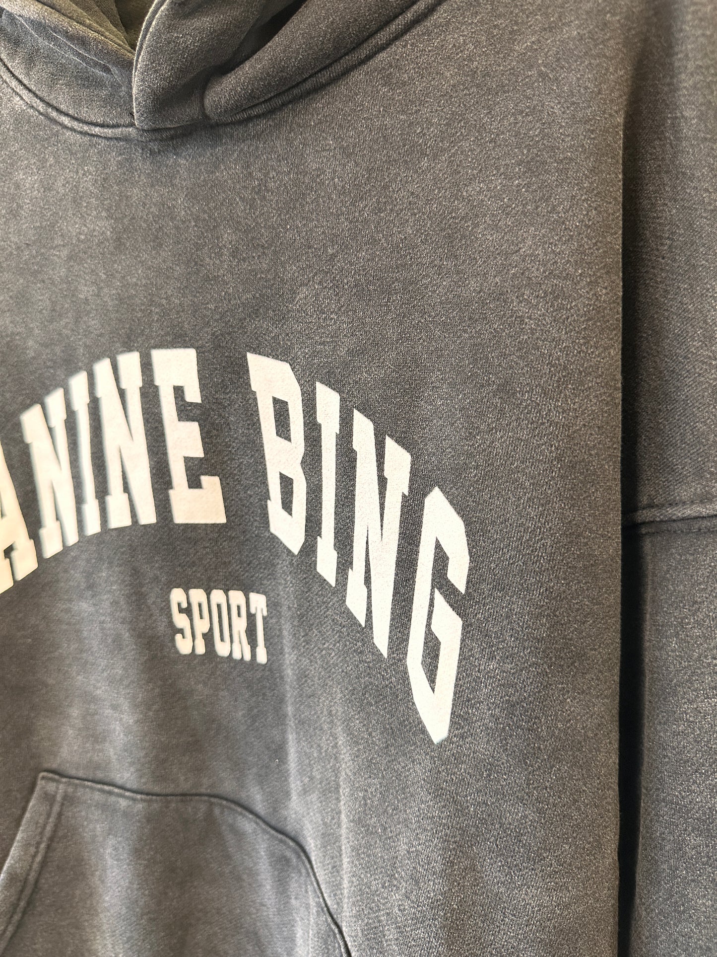 Anine Bing Harvey logo-print organic cotton-jersey hoody