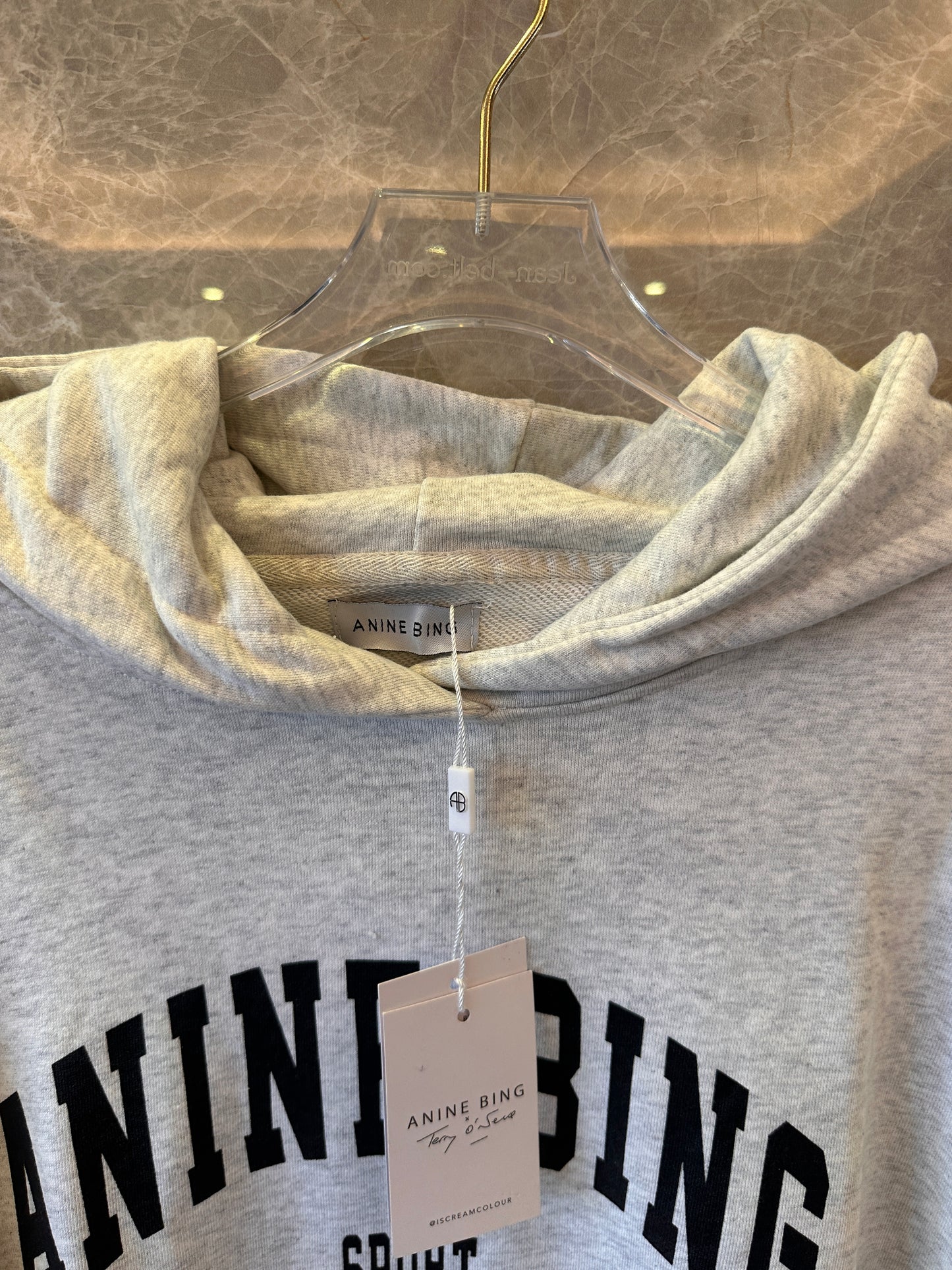 Anine Bing Harvey sport grey hoodie