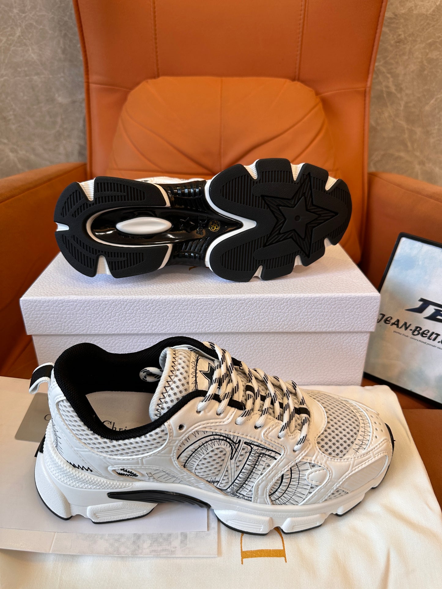 Dior B30 white mesh sneakers