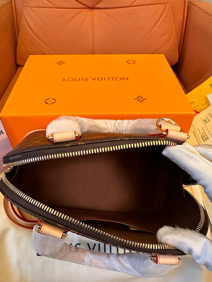 Louis Vuitton Monogram Speedy 25 handbag