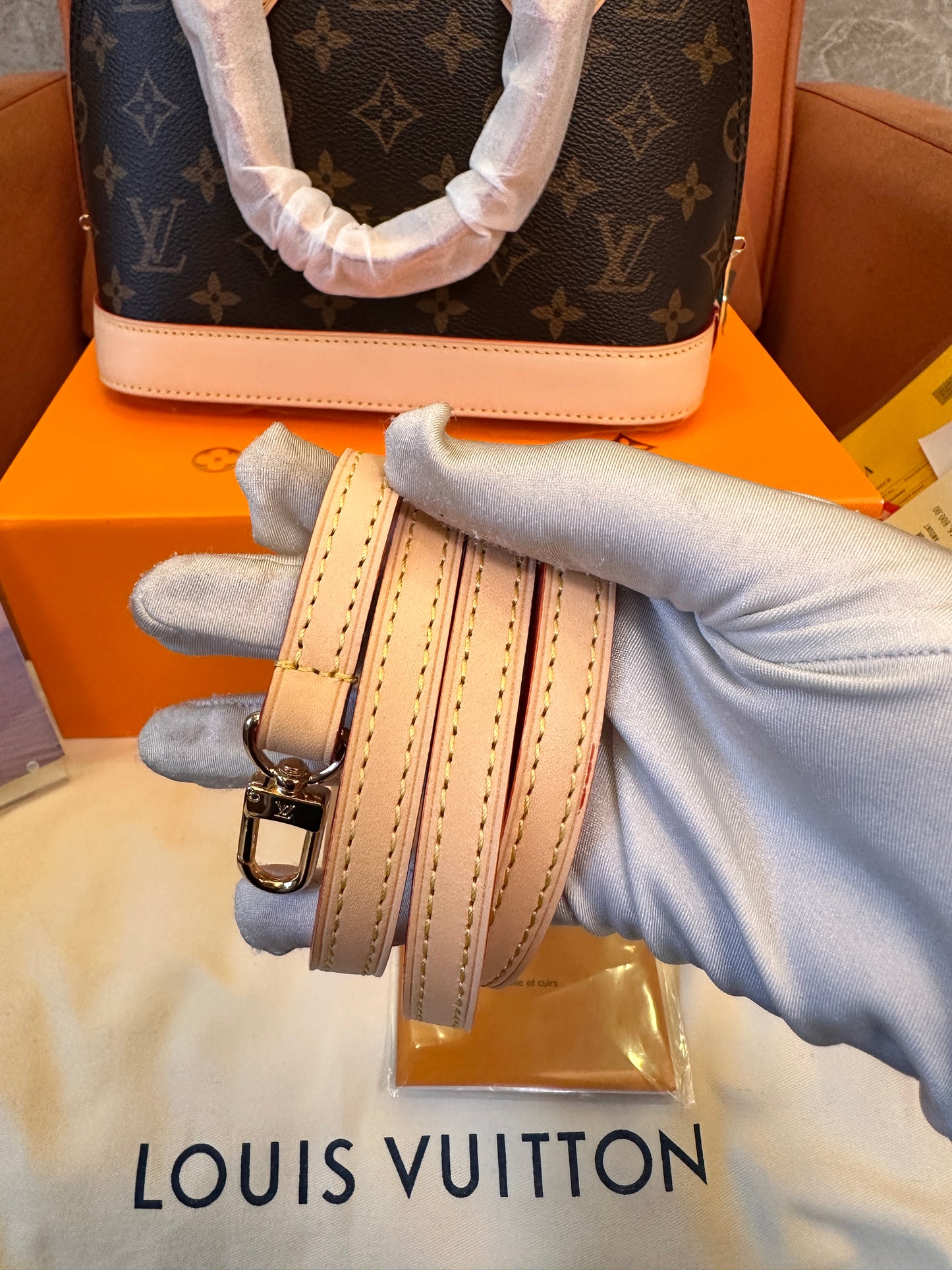 Louis Vuitton Monogram Speedy 25 handbag