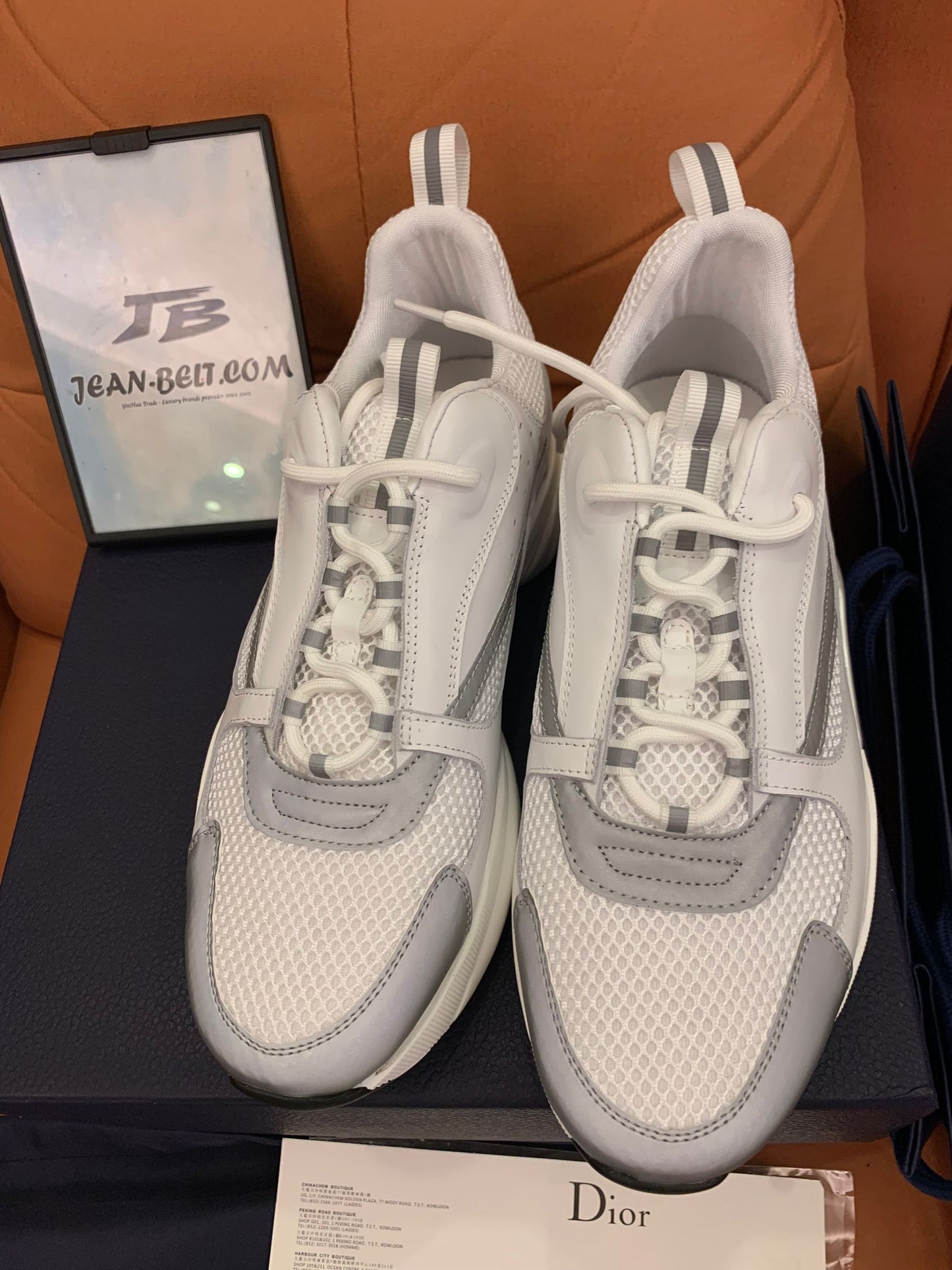 Dior B22 white silver