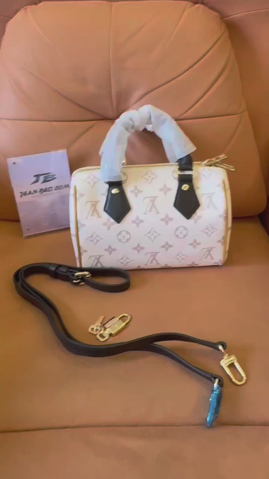 Louis vuitton speedy 20 handbag